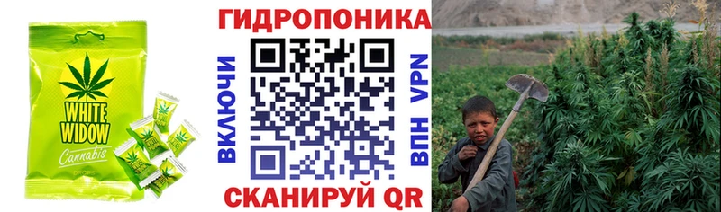 сколько стоит  Салават  Еда ТГК конопля 