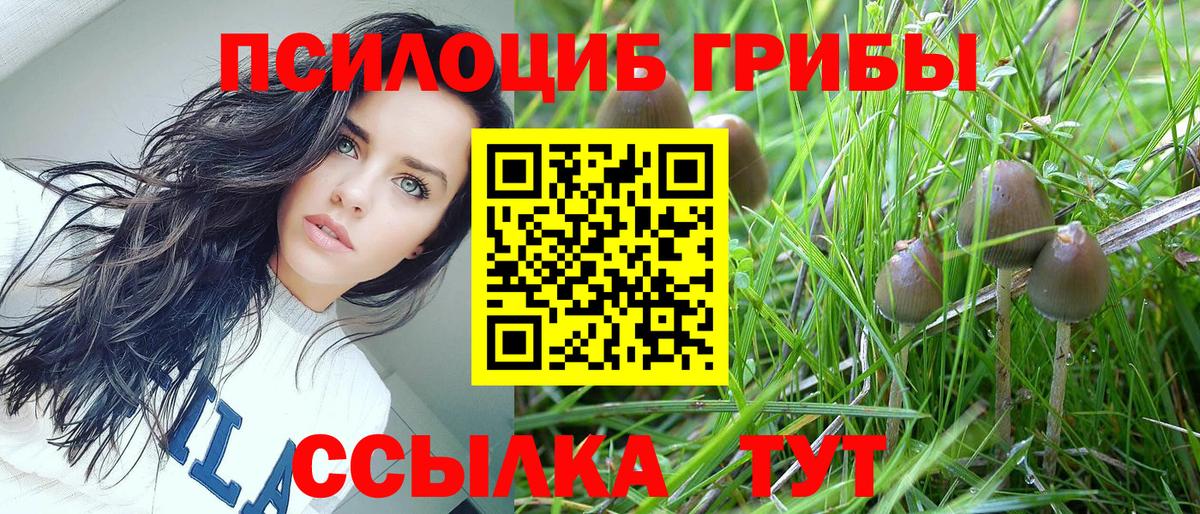 Псилоцибиновые грибы Cubensis Салават
